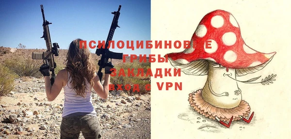 молекула духа Алексеевка